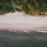 Sea Shell
