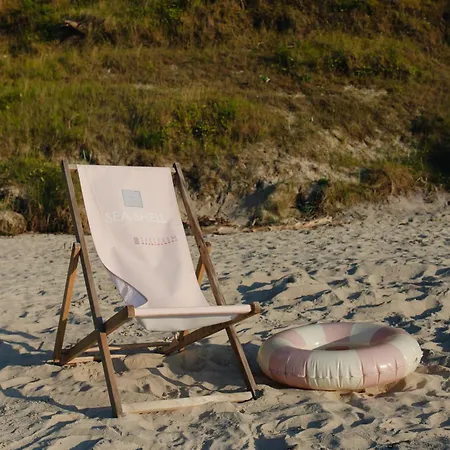 Sea Shell 3*